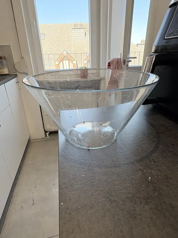 Grand saladier en verre